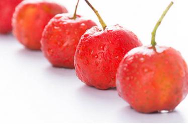 佳贝艾特优装羊奶粉怎么样