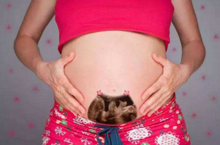 怀孕后什么是ABO溶血，3种孕妇备孕需做溶血