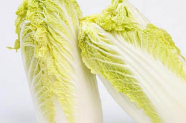 乐食儿童智能营养师：给孩子贴身配备一个营养师