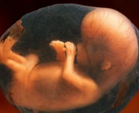 怀孕4个月，胎儿就会品尝味道了！
