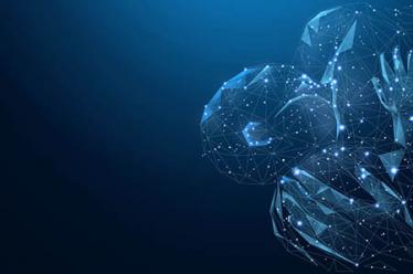 脂老虎:科学减脂为何受欢迎 脂老虎:科学减脂为何受欢迎
