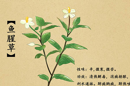 电白阳光医院好吗？用爱反哺社会，用情温暖人间