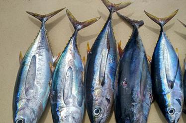 小儿腰部推拿穴位图3