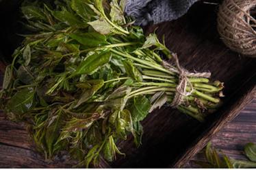玉屏风颗粒能治荨麻疹吗