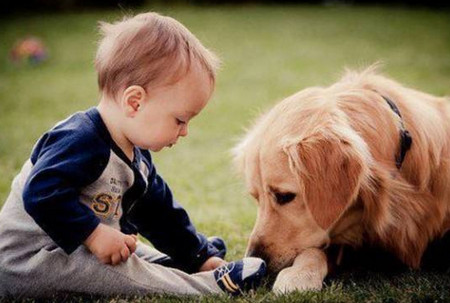 有宝宝的时候该怎样养宠物最合适？有宠物的宝宝会更聪明！