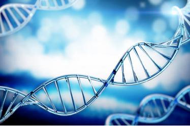 三段奶粉什么牌子的好?口感一流baby爱不释口 三段奶粉什么牌子的好?口感一流baby爱不释口