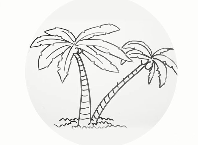 椰子树简笔画步骤图解