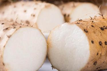 四季豆中毒怎么解毒 四季豆中毒怎么解毒