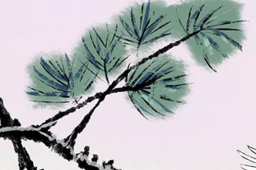 菜籽油宝宝怎么吃好5