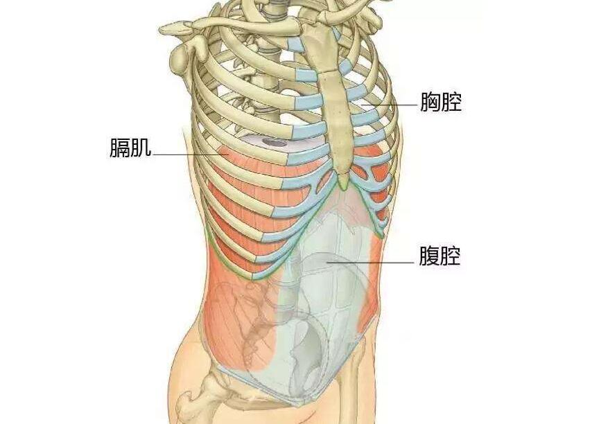 小儿肋骨外翻预防措施