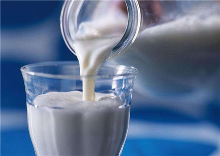 喝牛奶可以减肥吗 牛奶真的不会让人发胖吗？