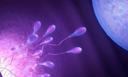 精子畸形是怎么回事？