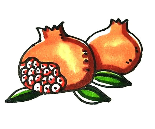 水果石榴简笔画的画法