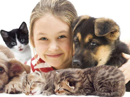孩子想养宠物该如何应对？