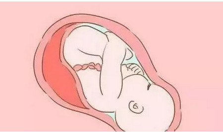 胎儿作息时间是什么样的 胎儿喜欢什么时候睡觉