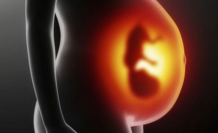 怀孕四周胎儿有多大