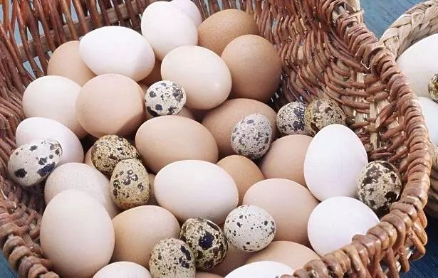 哪种蛋最适合宝宝吃