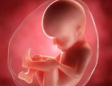 怀孕后多久容易发生胎儿畸形？