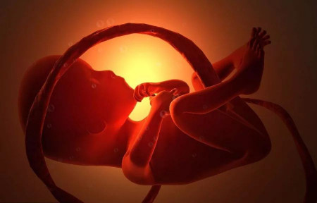 孕期同房时胎儿会有什么样的感受？
