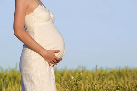 怀孕五个月宝宝有多大？