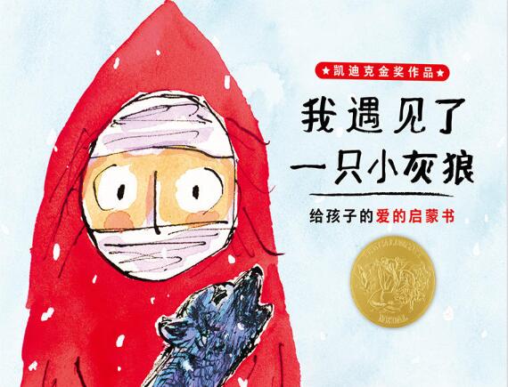 我遇见了一只小灰狼绘本1