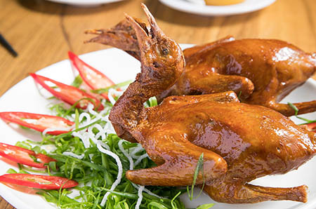 幼儿园动物睡觉教案3