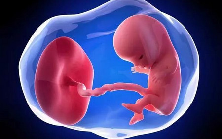 孕期做运动对胎儿智力有影响吗