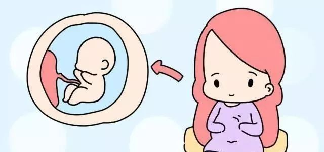 孕妇可以经常摸肚子吗