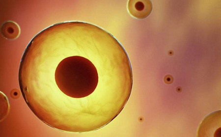 胚胎移植后需要注意些什么
