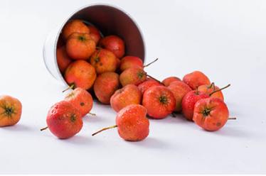 2019年猪宝宝乳名大全