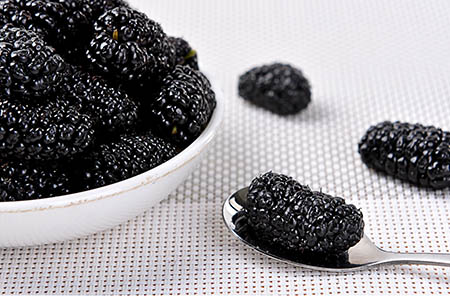 2020年3月出生的鼠宝宝好吗3