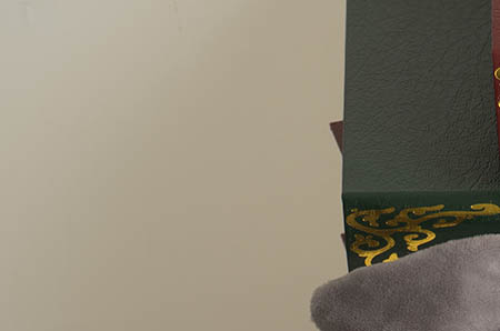 鸡油菌孕妇能吃吗 鸡油菌孕妇能吃吗