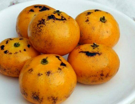 关于宝宝咳嗽食疗方法
