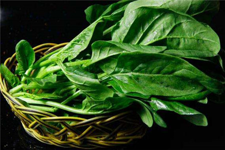 胆结石可以吃菠菜吗 菠菜对胆结石有影响吗？