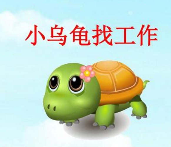 小乌龟找工作