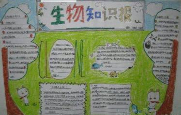 生物与环境手抄报简单又漂亮4