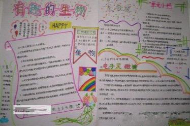 生物与环境手抄报简单又漂亮5