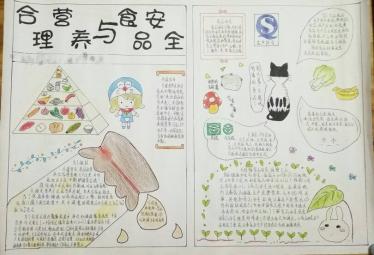 生物与环境手抄报简单又漂亮9