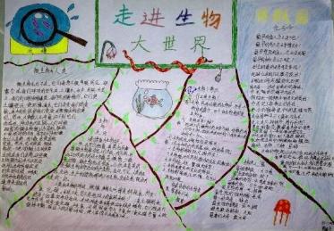 生物与环境手抄报简单又漂亮10