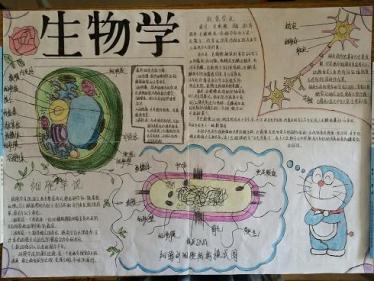 生物与环境手抄报简单又漂亮11