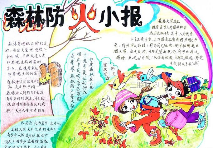 森林消防安全手抄报图片大全2