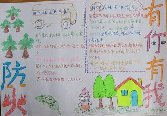 森林消防安全手抄报图片大全5