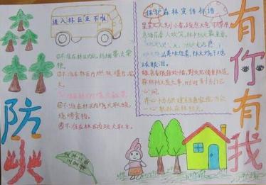 森林消防安全手抄报图片大全5