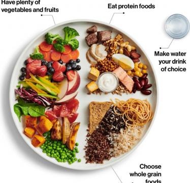 加拿大政府饮食指南更新健康饮食金字塔 
