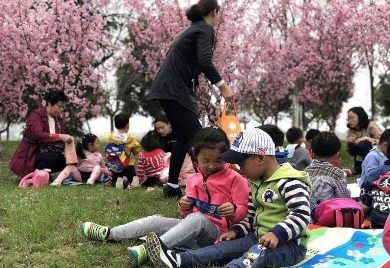 小班艺术花草地教案3