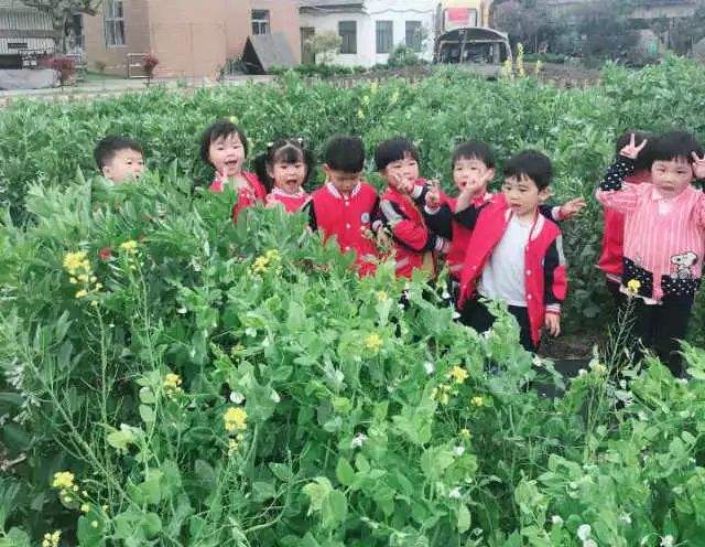 小班艺术花草地教案4
