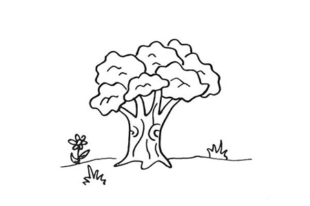 大树彩色简笔画的画法 怎么教幼儿画大树