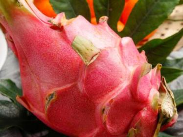 孕妇吃火龙果不能和什么一起吃 孕妇吃火龙果不能和什么一起吃