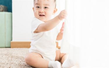 属猪有创意的乳名