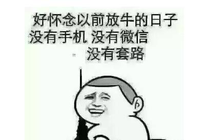 突然好想去放牛是什么梗